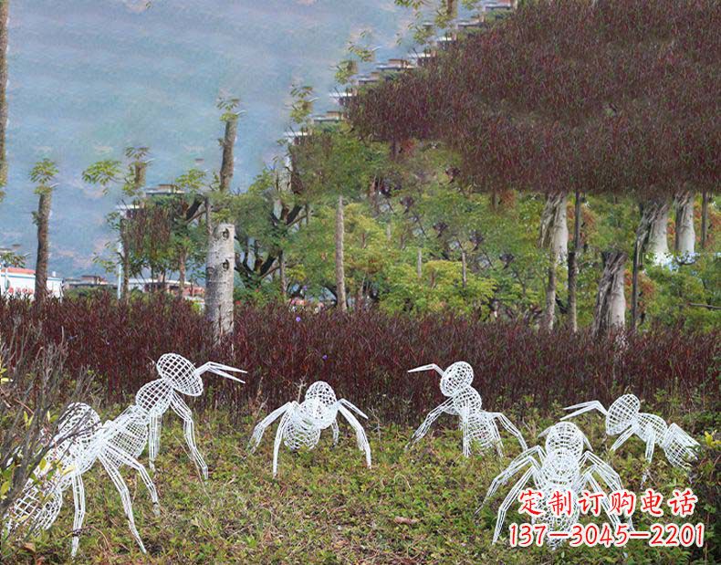黄冈不锈钢蚂蚁镂空雕塑艺术与自然的完美结合