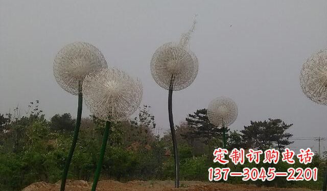 黄冈蒲公英的绚丽多彩