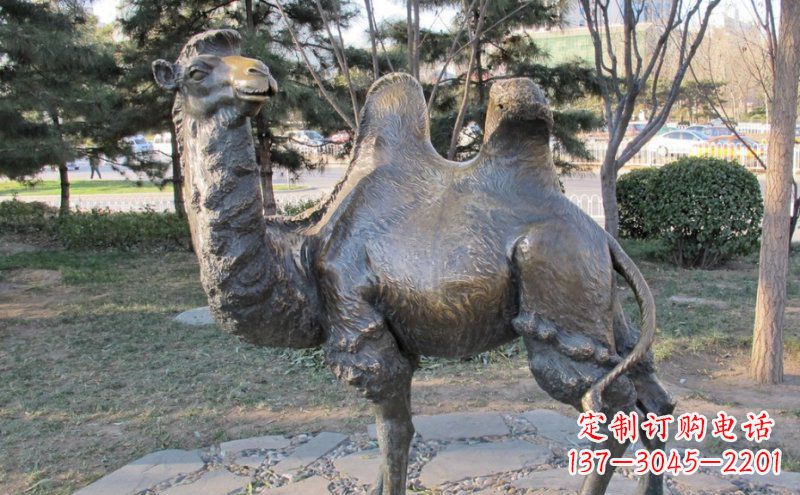 黄冈公园骆驼动物铜雕 (4)