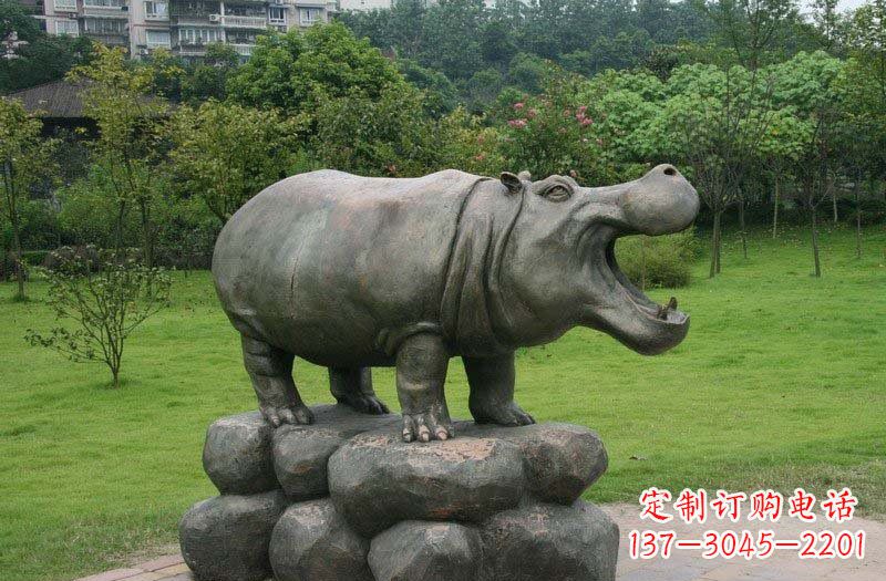 黄冈海洋动物河马铜雕塑