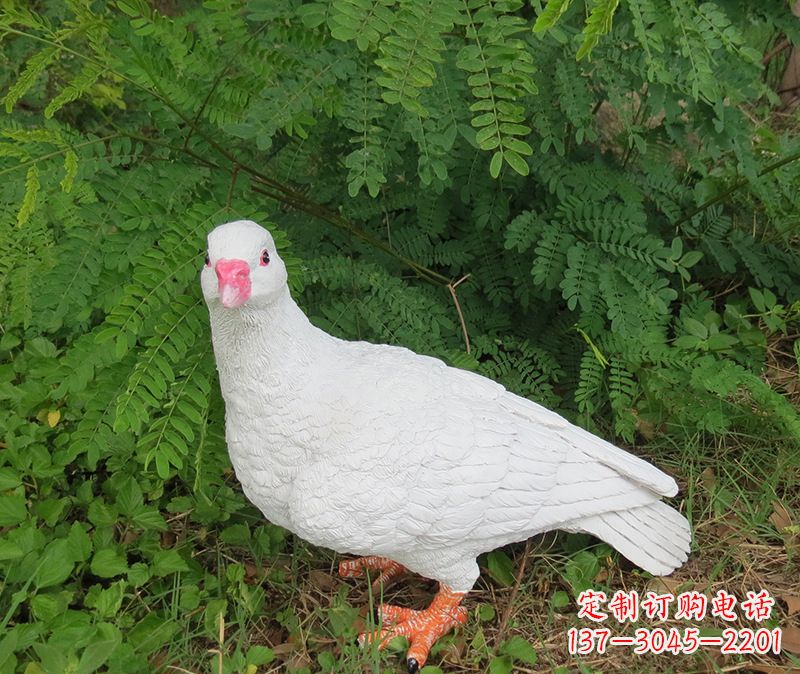 黄冈灵鸽雕塑鸽子呢