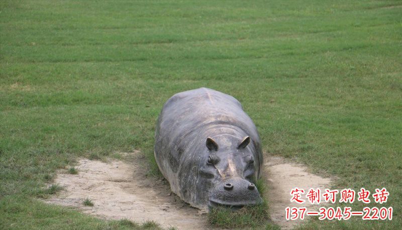 黄冈铜雕趴着的河马