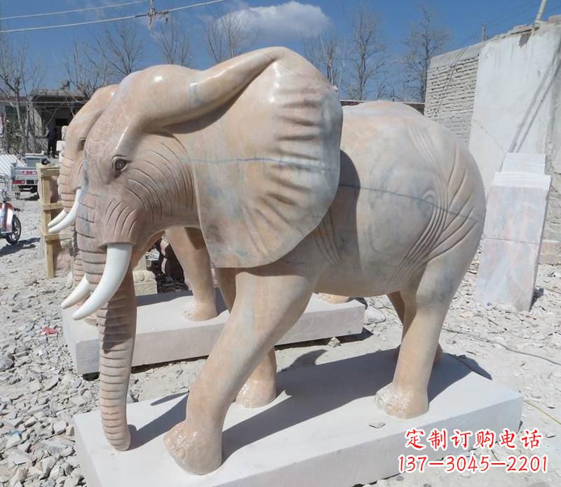 黄冈晚霞红卷鼻大象